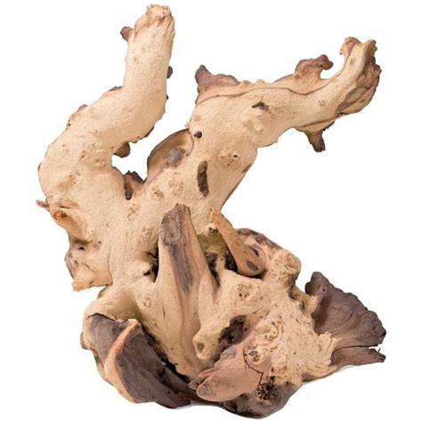 How to Test Wood for Aquariums 的图像结果