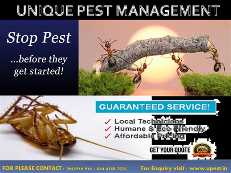 Unique Pest Management - Top Home & Toilet Cleaning Service Providers ...