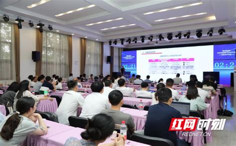 2023年“创客中国”岳阳市中小微企业创新创业大赛成功举办