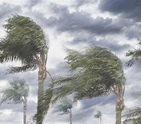 hurricane wind 的图像结果