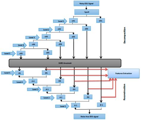 Wavelet Analysis Software 的图像结果