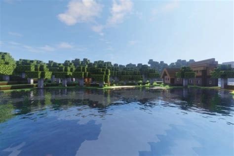 Image result for How to Get Shaders for Java 1.17