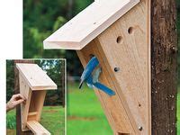 Image result for Bird Nesting Boxes Plans