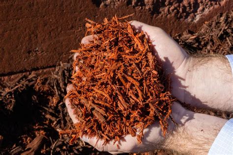 Image result for Red Mulch Colorant