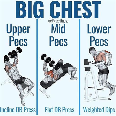 10 Best Chest Exercises For Building Muscle - GymGuider.com | Chest ...