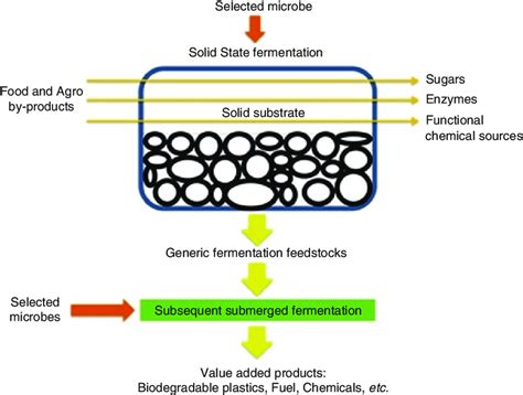 Semi Solid State Fermentation 的图像结果