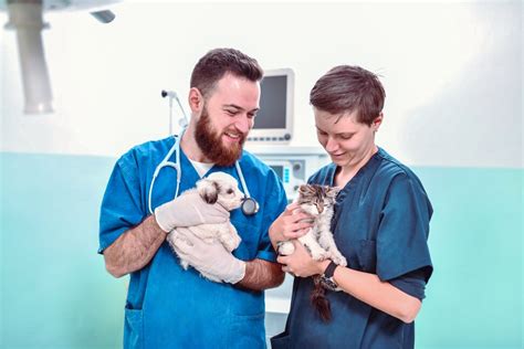 Spot vs. Nationwide Pet Insurance | U.S. News