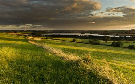 HD Image 的图像结果