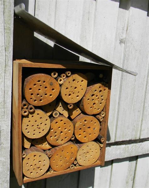 Image result for Making a Bee Home