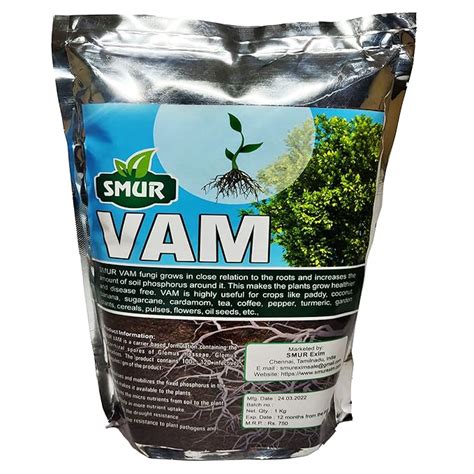 VAM Vesicular Arbuscular Mycorrhizae | Bio Fertilizer 1 Kg : Amazon.in ...