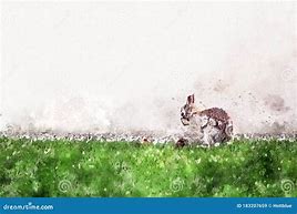 Image result for Digital Watercolor Bunny