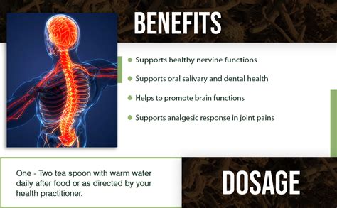 Buy Akarkara Root Powder (Pellitory Root/Anacyclus Pyrethrum) Ayurvedic ...