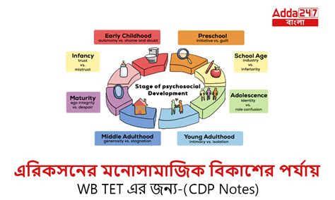 এরিকসনের মনোসামাজিক বিকাশের পর্যায়, WB TET এর জন্য-(CDP Notes)