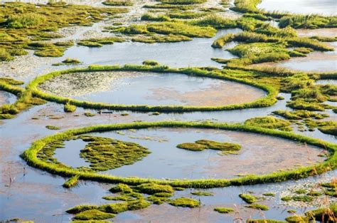 Loktak Lake - Is the largest freshwater lake in India