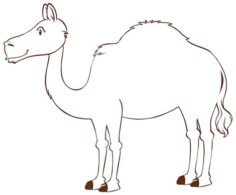 Camel clipart Vectors - Download Free High-Quality Vectors from Freepik ...