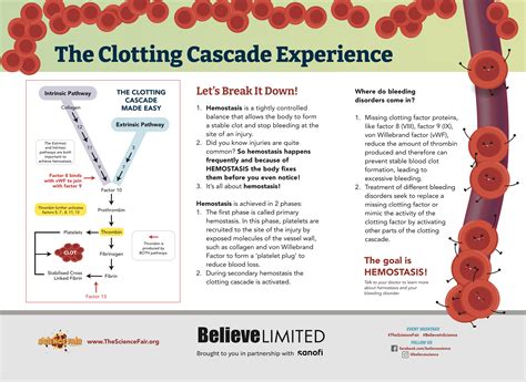 Enter the Science Fair! — The Science Fair