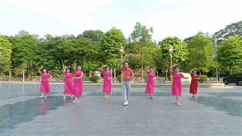 Image result for Beginners Tango Line Dance Tutorial