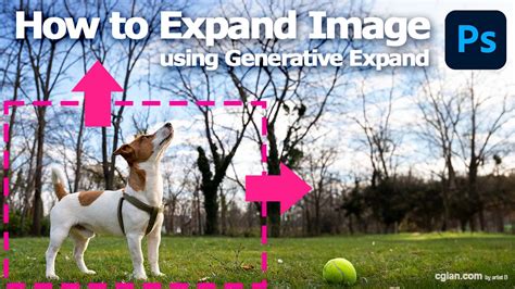 Image result for How to Expand an Image in Computer