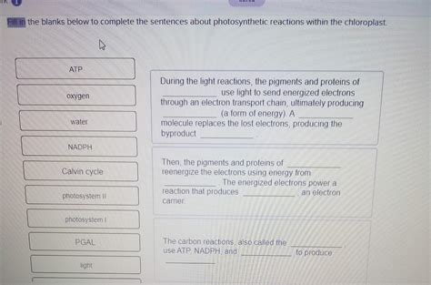 Solved the blanks below to complete the sentences about | Chegg.com