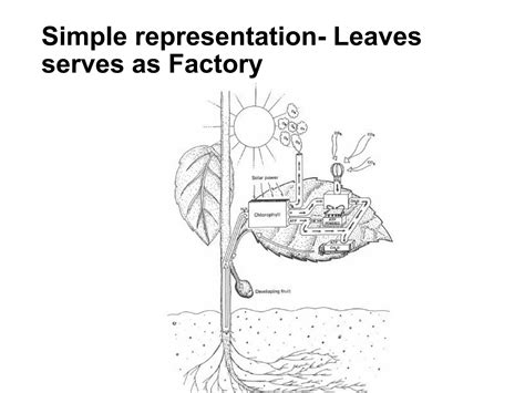 Life Process 的图像结果