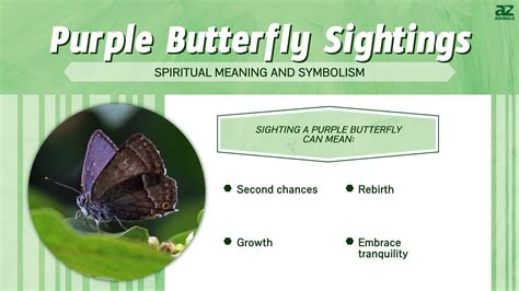 Purple Butterfly Symbolism at Ryan Moorman blog