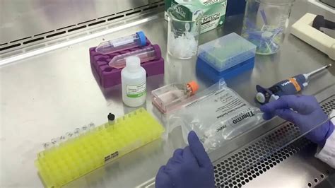 Image result for MTT Assay Using OriginPro