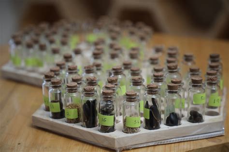 Best Innovative School - Bio Mimicry Hive by Students Creating History ...