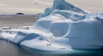 南极 的图像结果