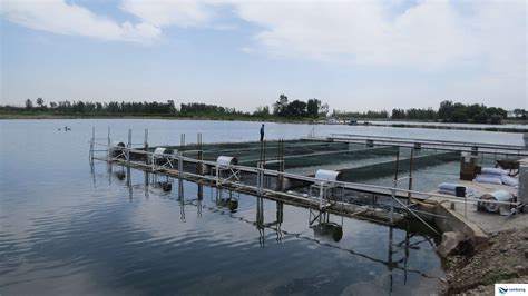 宁夏中卫项目 - 万康渔业、IPA循环流水、水产养殖、循环流水养殖
