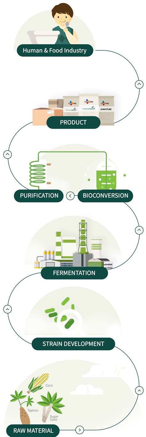 Image result for Biotechnology Process
