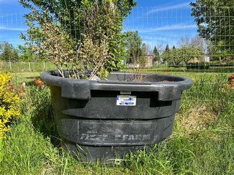Raised Bed Gardening: 4 Essential Steps to Start Your Garden
