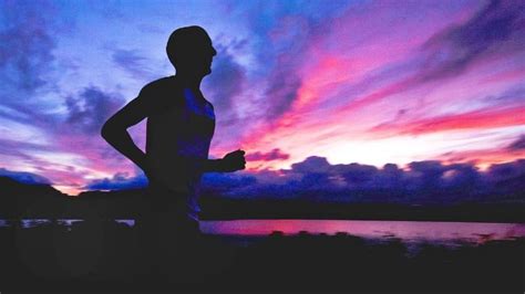 Endurance-running and human evolution: What does new evidence from ...