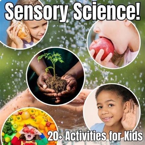 Science Experiments Using Sensory 的图像结果