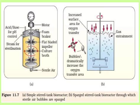 Biotech Processes 的图像结果