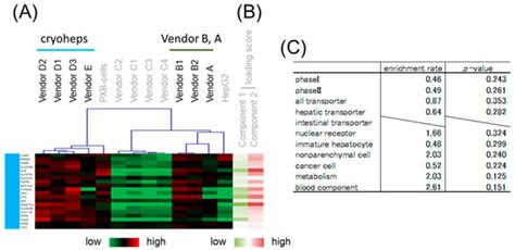 Consideration of Commercially Available Hepatocytes as Cell Sources for ...
