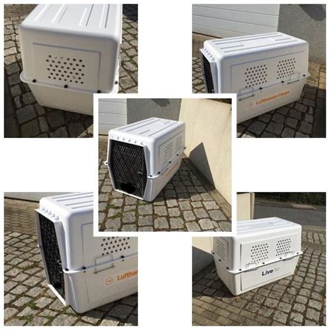 Flug und Hundeboxen mit IATA Zulassung Größe XXL Gigant Verkauf und ...