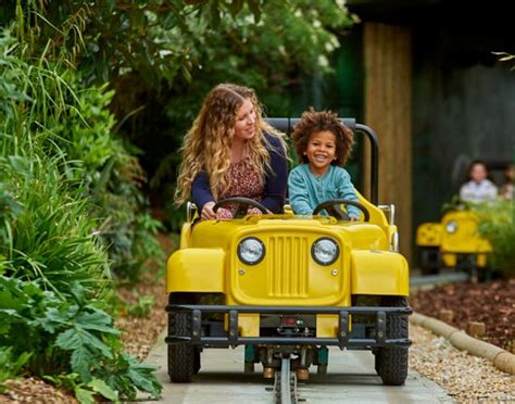 Fabulous day - Reviews, Photos - Drusillas Park - Tripadvisor