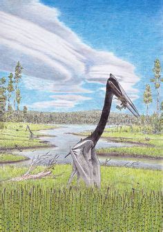 Image result for Moebius Flying Creatures