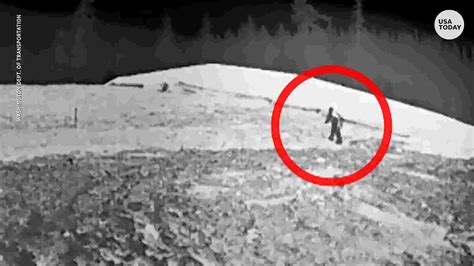 Sasquatch in Washington allegedly spied twice via DOT cameras