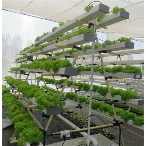 NFT hydroponic systems; 190 plants A frame system - Hydrilla