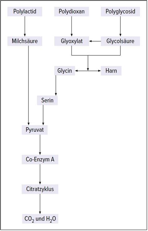 Bioresorbierbare Implantate in der Vorfußchirurgie: Materialien, Mögli ...