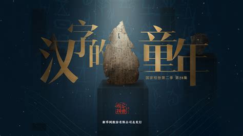 《这就是中国》第129集：世界民主峰会 喜剧还是闹剧