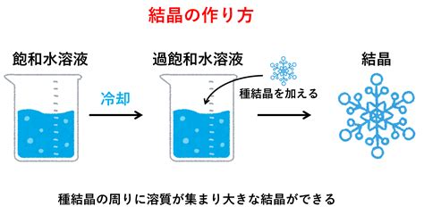 Image result for Grade 5 Module 2 Lesson 5 Homework