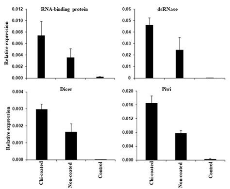 Nanoparticle-Shielded dsRNA Delivery for Enhancing RNAi Efficiency in ...