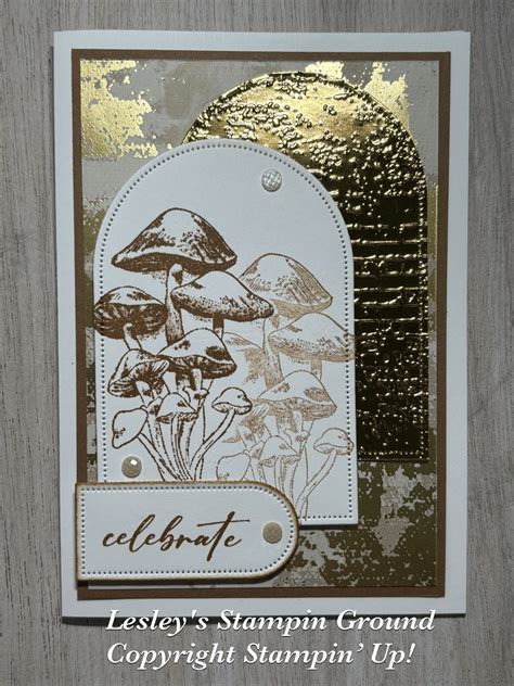 Lesley's Stampin Ground : Inspirational Sketches