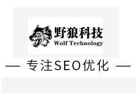 郑州网站seo优化_百度seo快速排名_郑州seo外包公司-河南野狼科技