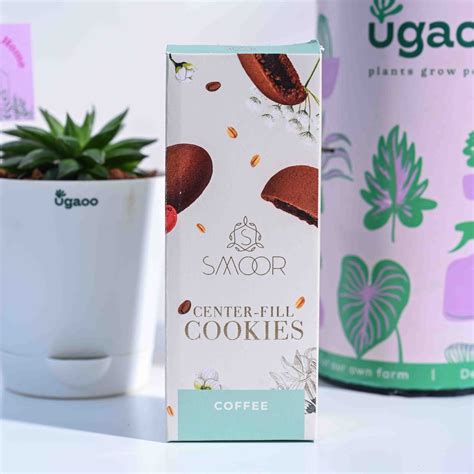 Haworthia Turgida Housewarming Gift Hamper – Ugaoo