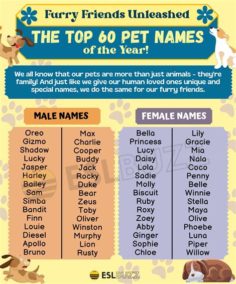 Cute and Creative Pet Names to Learn and Love - ESLBUZZ