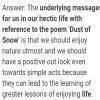 What is the underlining message for us in our hectic life with ...
