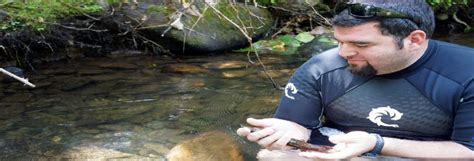 Translocation can stop extinction: new salamander study